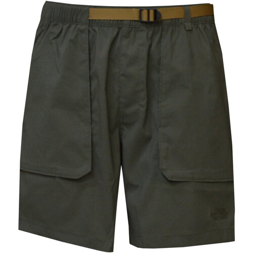textil Hombre Shorts / Bermudas The North Face NF0A81WZ Verde