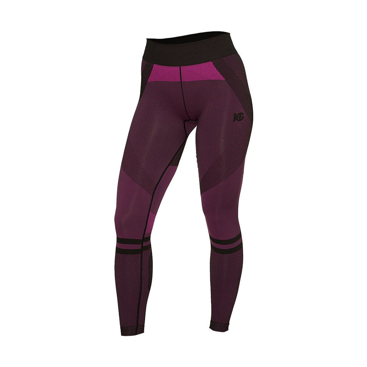 textil Leggings Sport Hg HG-PENTRO LONG COMPRESSIVE PANTS Violeta