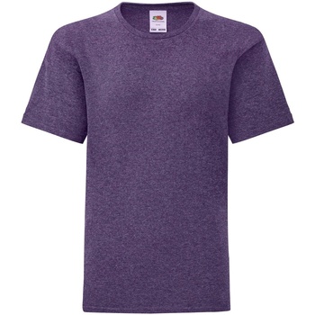textil Niños Tops y Camisetas Fruit Of The Loom Iconic Violeta