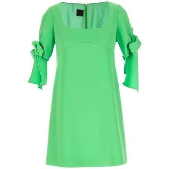 textil Mujer Vestidos Pinko VERDICCHIO 103223 7624-T38 Verde