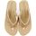 Zapatos Mujer Chanclas Gioseppo DEVICES Beige