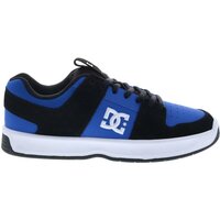 Zapatos Hombre Zapatillas bajas DC Shoes ADYS100615 - Hombres Azul