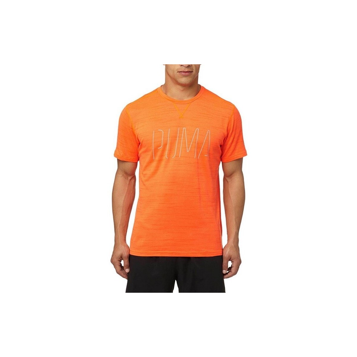 textil Hombre Camisetas manga corta Puma 514358 Naranja