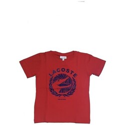 textil Niño Camisetas manga corta Lacoste TJ0583 Rojo