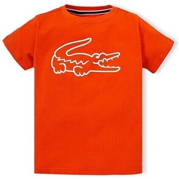 textil Niño Camisetas manga corta Lacoste TJ7969 Naranja