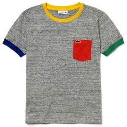 textil Niño Camisetas manga corta Lacoste TJ3871 Gris