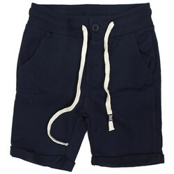textil Niño Shorts / Bermudas Everlast 18J203F05 Azul