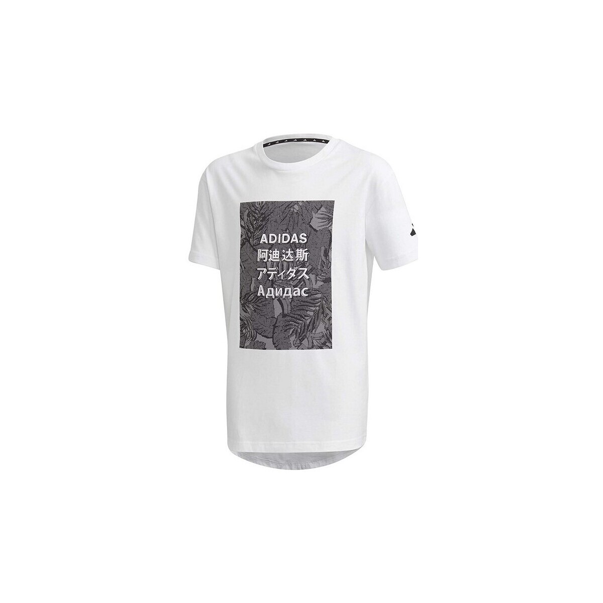 textil Niño Camisetas manga corta adidas Originals FL2834 Blanco