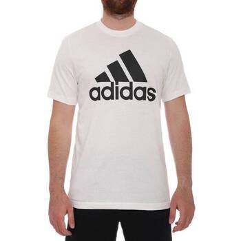 textil Hombre Camisetas manga corta adidas Originals GC7348 Blanco