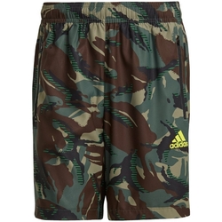 textil Hombre Shorts / Bermudas adidas Originals GM2107 Kaki