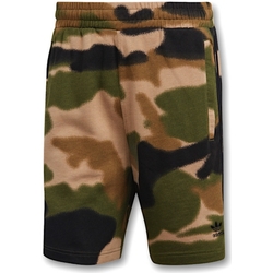 textil Hombre Shorts / Bermudas adidas Originals GN1887 Kaki