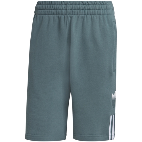 textil Hombre Shorts / Bermudas adidas Originals GN3591 Verde