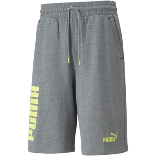 textil Hombre Shorts / Bermudas Puma 847391 Gris