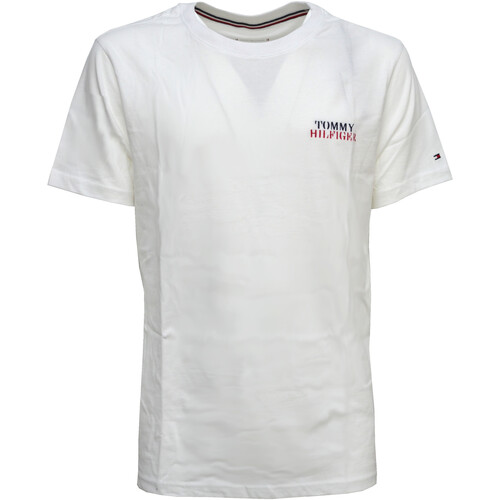 textil Hombre Camisetas manga corta Tommy Hilfiger UM0UM02565 Blanco