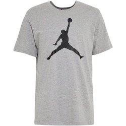 textil Hombre Camisetas manga corta Nike CJ0921 Gris