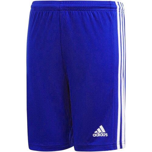 textil Niño Shorts / Bermudas adidas Originals GK9156 Azul