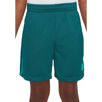 textil Niño Shorts / Bermudas Nike DX5361 Verde