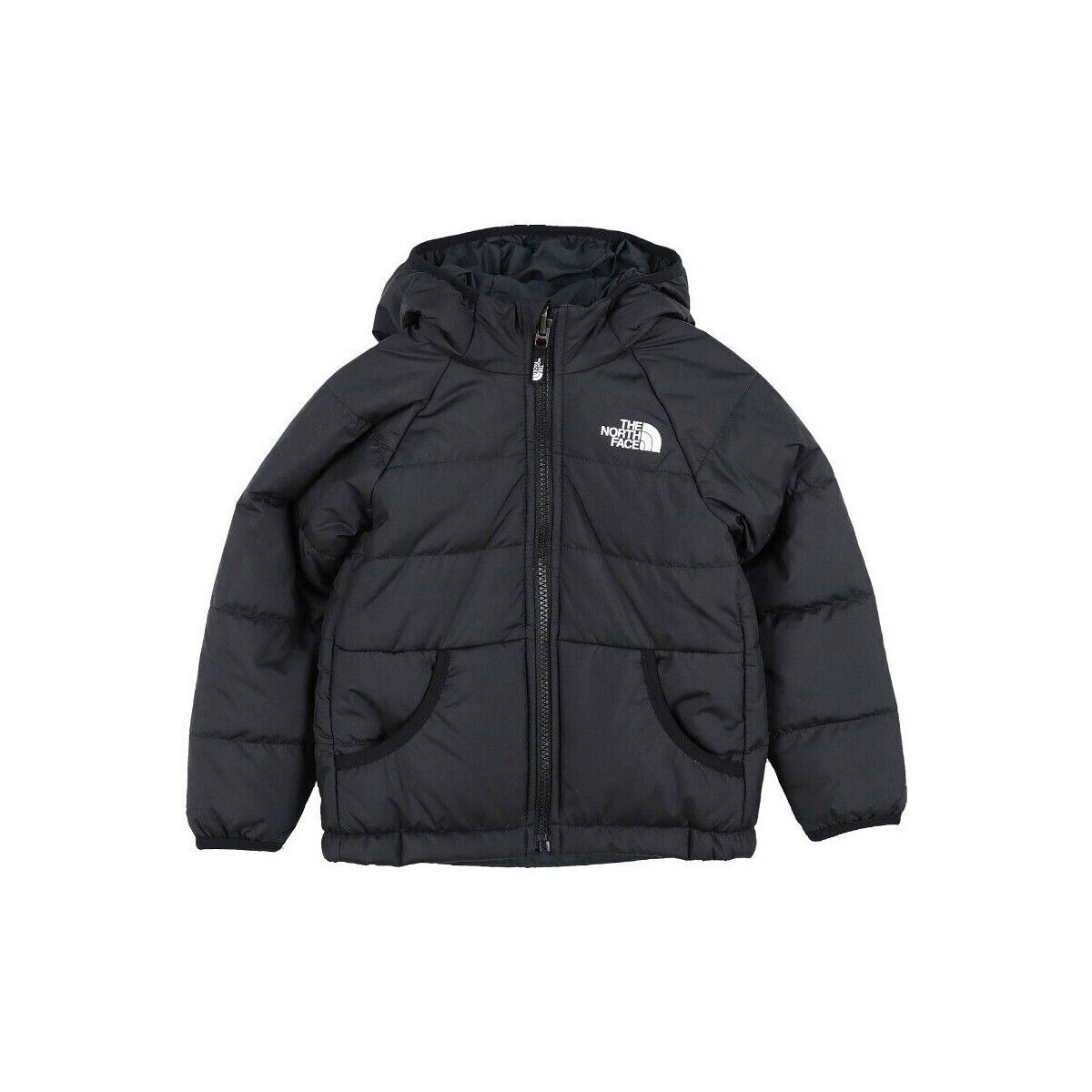 textil Niño Plumas The North Face NF0A82YP Negro