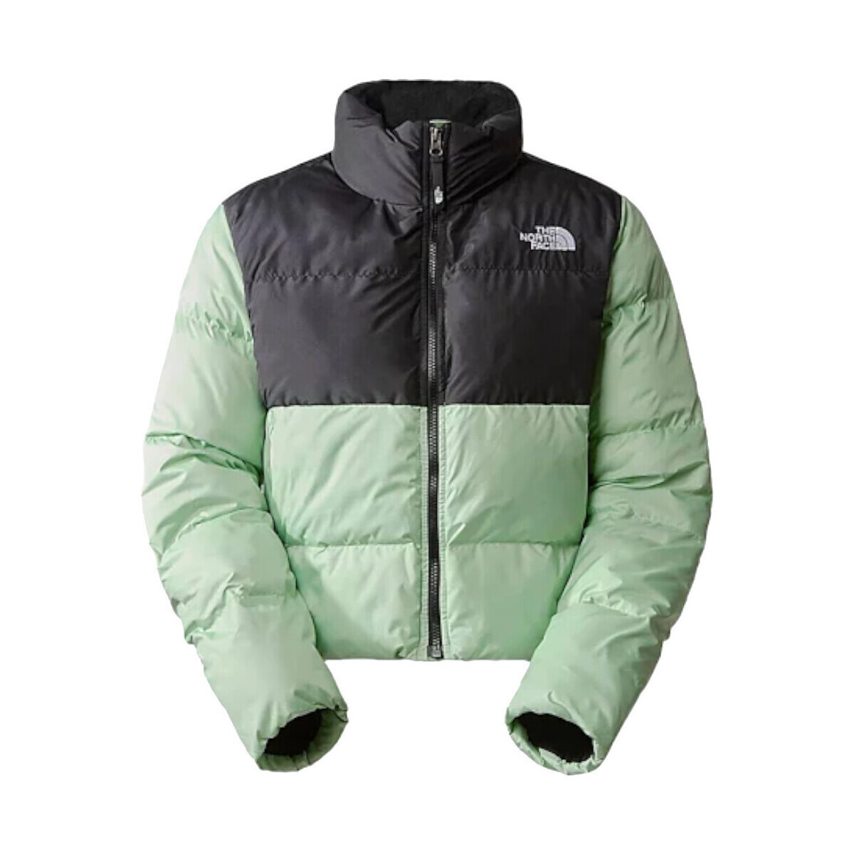 textil Mujer Plumas The North Face NF0A853M Verde