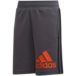 textil Niño Shorts / Bermudas adidas Originals DV0811 Gris