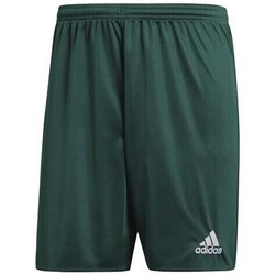 textil Niño Shorts / Bermudas adidas Originals DM1698-BIMBO Verde