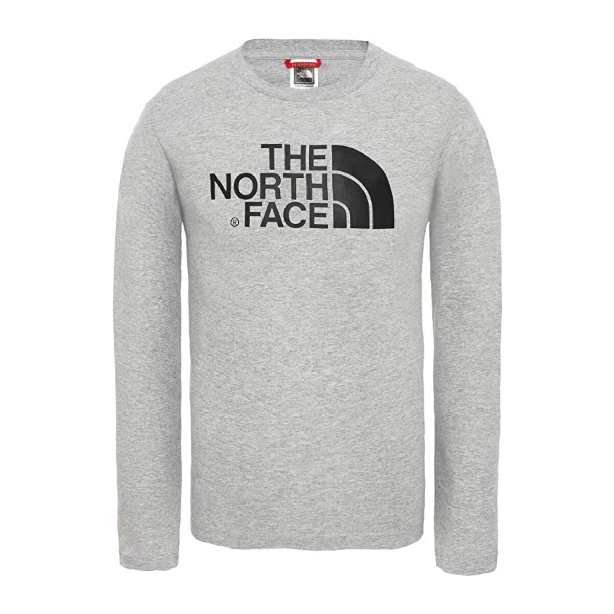 textil Niño Camisetas manga larga The North Face NF0A3S3B Gris