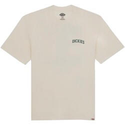 textil Hombre Camisetas manga corta Dickies - Camiseta Elliston Beige