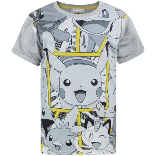 textil Niño Camisetas manga larga Pokemon NS7650 Gris