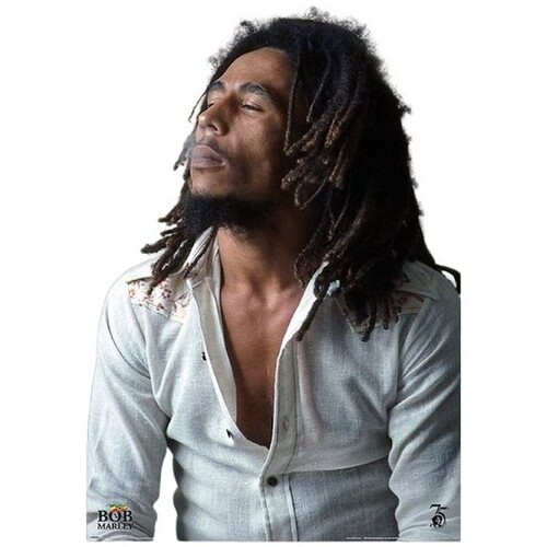 Casa Afiches / posters Bob Marley TA11564 Negro