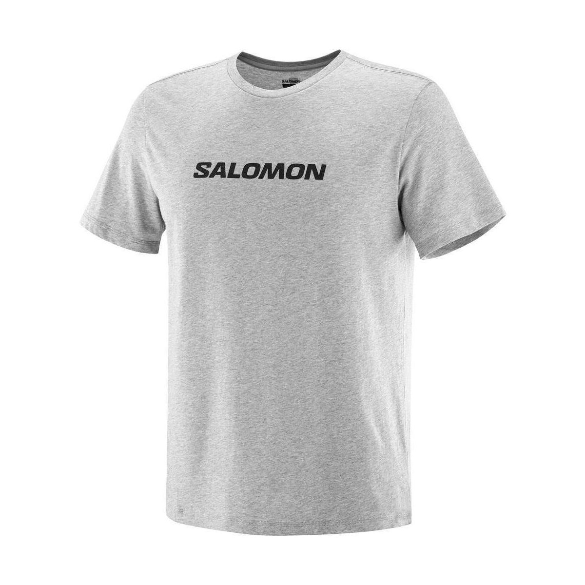 textil Hombre Camisas manga corta Salomon SAL LOGO PERF SS TEE M Gris