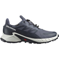 Zapatos Hombre Running / trail Salomon SUPERCROSS 4 GTX Gris