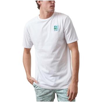 textil Hombre Camisetas manga corta Altonadock 124275040720 Blanco