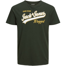 textil Hombre Camisetas manga corta Jack & Jones 12243611 JJELOGO TEE SS O-NECK 2 COL 23/24 PLS MOUNTAIN VIEW Verde