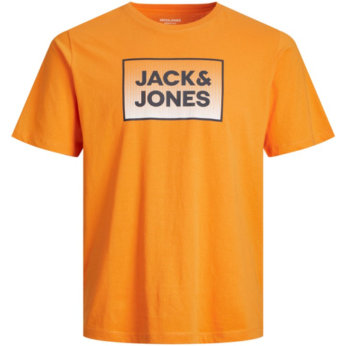 textil Niño Camisetas manga corta Jack & Jones 12249633 JJSTEEL TEE SS JNR DARK CHEDDAR Naranja