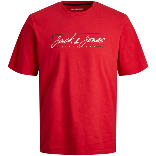textil Niño Camisetas manga corta Jack & Jones 12249699 JJZURI TEE SS CREW NECK JNR TRUE RED Rojo