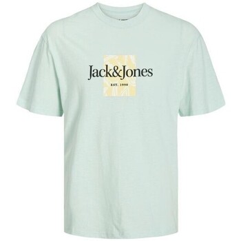 textil Hombre Camisetas manga corta Jack & Jones 12250436 JORLAFAYETTE Verde