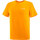 textil Hombre Camisas manga corta Salomon GRAPHIC PERF SS TEE M Naranja