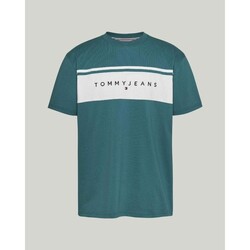 textil Hombre Camisetas manga corta Tommy Hilfiger DM0DM18658CT0 Verde