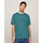 textil Hombre Camisetas manga corta Tommy Hilfiger DM0DM17993CT0 Verde
