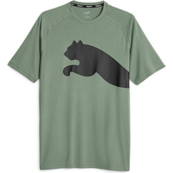 textil Hombre Camisetas manga corta Puma Train All Day Big CAT Tee Verde