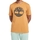 textil Hombre Camisetas manga corta Timberland 227621 Marrón