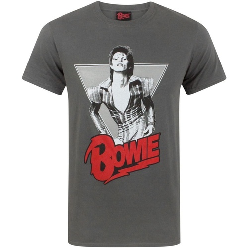 textil Hombre Camisetas manga larga David Bowie NS4376 Gris