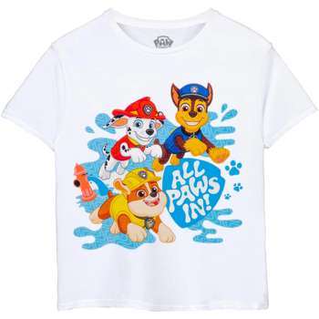 Paw Patrol All Paws In! Multicolor