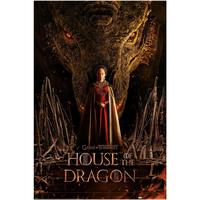 Casa Afiches / posters House Of The Dragon PM4558 Negro