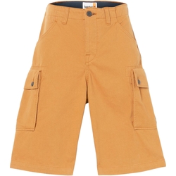 textil Hombre Shorts / Bermudas Timberland 227609 Marrón