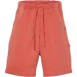 textil Hombre Shorts / Bermudas Timberland 227616 Rojo