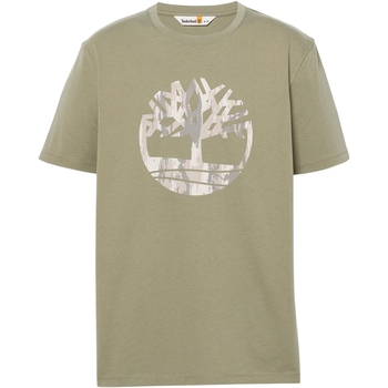 textil Hombre Camisetas manga corta Timberland 227631 Verde