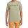 textil Hombre Camisetas manga corta Timberland 227441 Verde