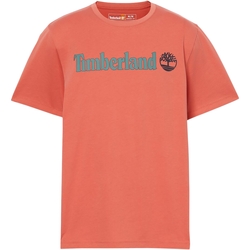 textil Hombre Camisetas manga corta Timberland 227446 Naranja