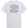 textil Hombre Camisetas manga corta Vans VN000FJWWHT1 Blanco